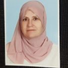 أ.عبير عيسى